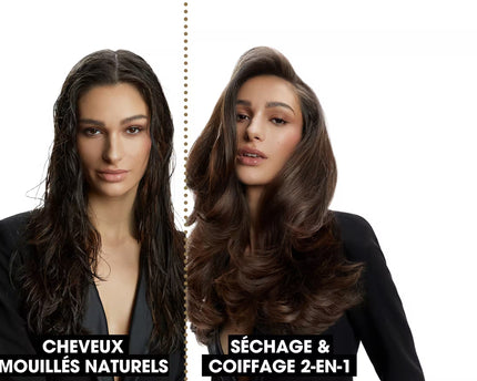 BROSSE SOUFFLANTE BLANCHE DUET BLOWDRY